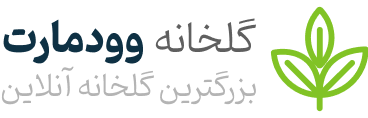گروه بازرگانی آسیایی