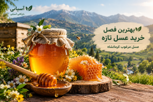 بهترین فصل خرید عسل تازه